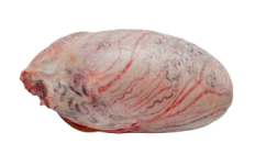 13-BEEF TESTICLE