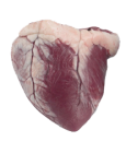 6-lamb HEART