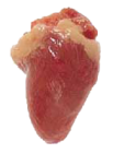 9-Chicken Heart